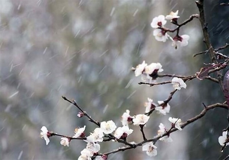 پیش‌بینی وضعیت دما و بارش کشور تا پایان اردیبهشت