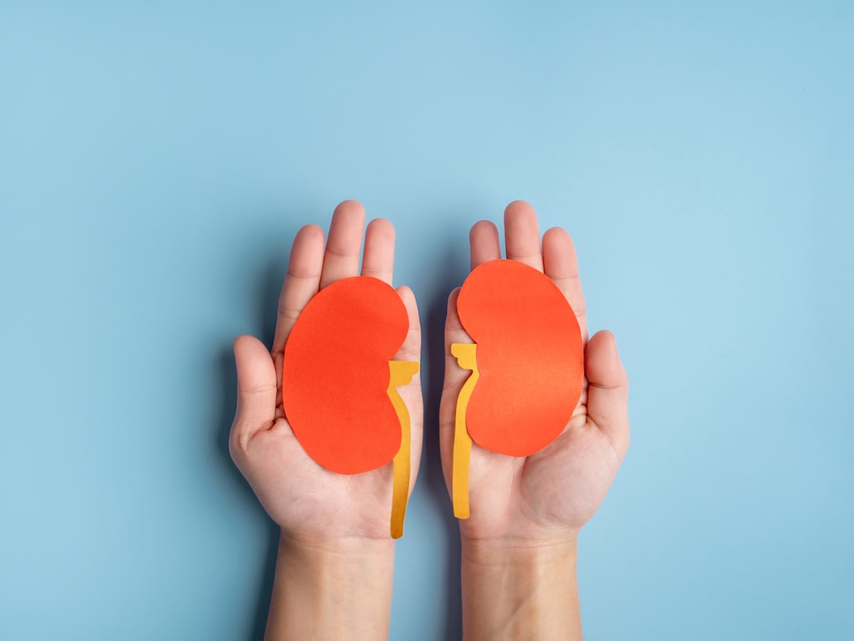 بهترین غذاها برای سلامت کلیه‌ها