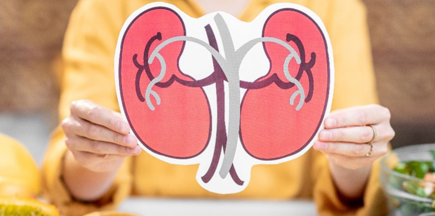 ۱۰ ماده غذایی برای دوری از بیماری‌های کلیوی