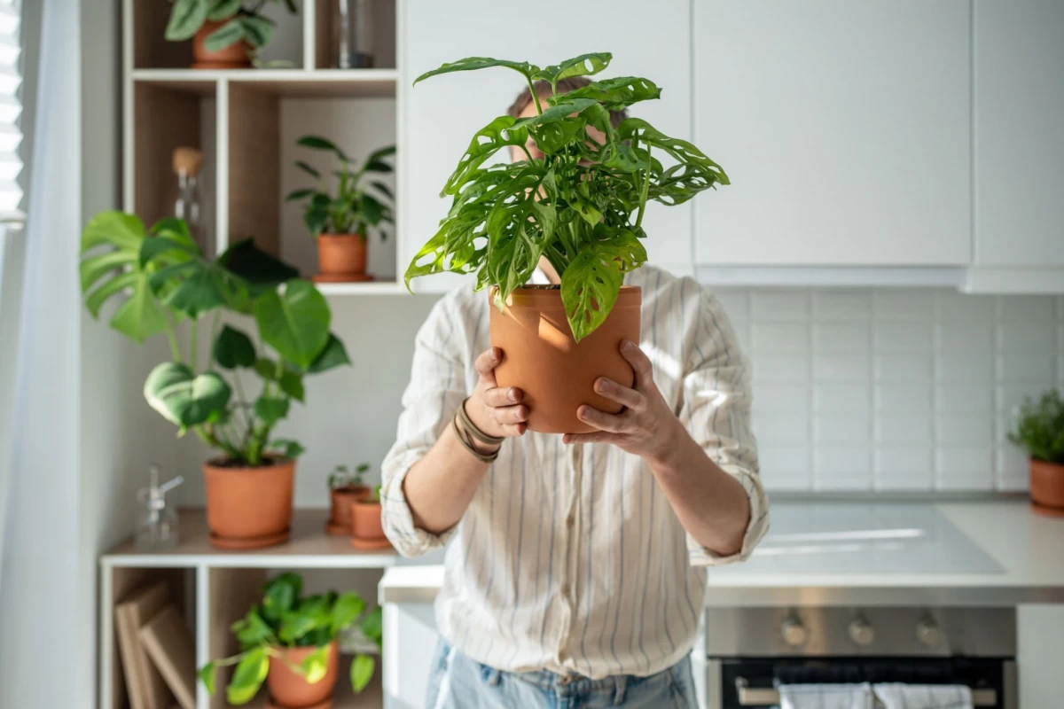 گیاه ماه تولدتان را بشناسید