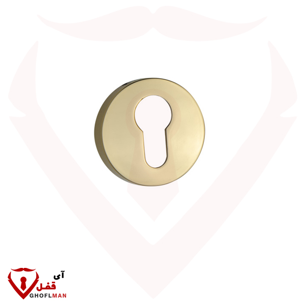 حلقه رزت (سفارشی) 01R برند تیک TIK