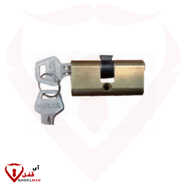 سیلندر دو طرفه دلتا DELTA